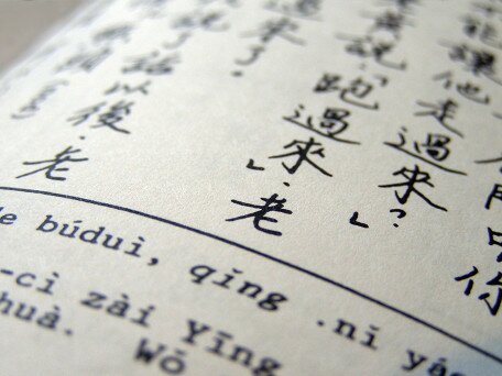 Promoting Chinese and English Bi-Scriptal Reading Development through Phonological Training: Behavioural Intervention and Neural Evaluation